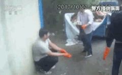 特大毒狗案宣判 16人被判刑！毒狗针几秒钟可致成年人丧命