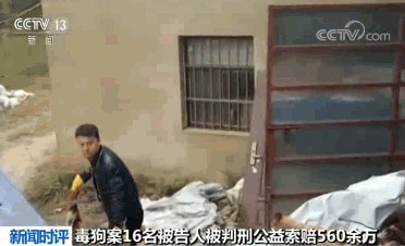 t013c3ef073219f60da.jpg