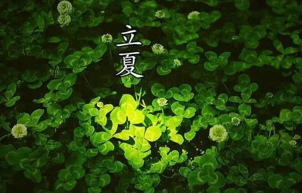 立夏当头 多云压阵 本周偶有阵雨浸润