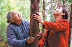 眼瞅着石头山绿起来（美丽中国·绿染太行③）