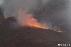 凉山州金阳县森林火灾案告破 岳母包庇女婿让公公顶包