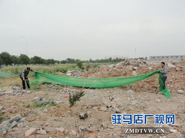 他们用辛勤汗水唤回蓝天碧水