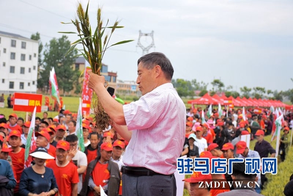 正阳千余农民麦田选秀
