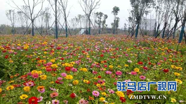 练江河主题公园景色美如画
