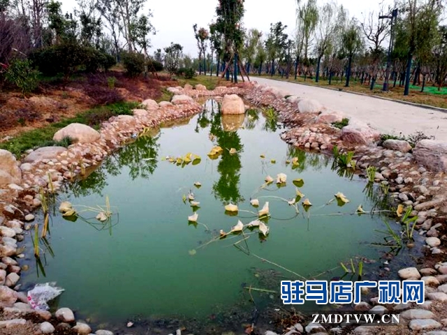 练江河主题公园景色美如画