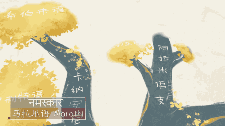 5.gif
