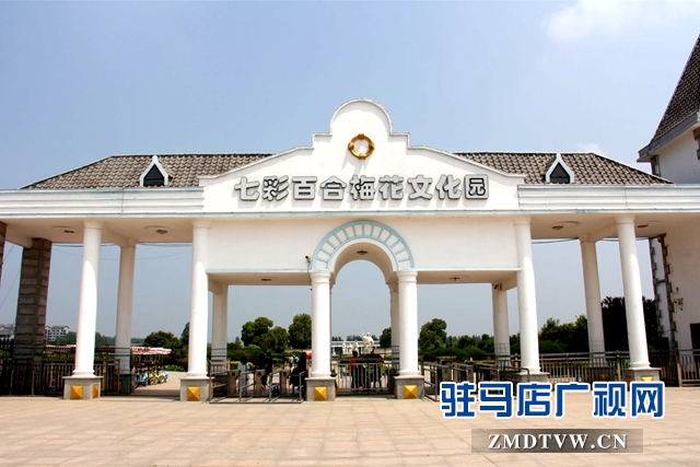 七彩百合与紫海香草在嵖岈山温泉小镇甜蜜邂逅