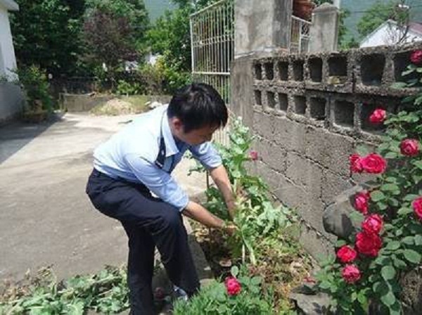 泌阳县开展禁种铲毒踏查行动