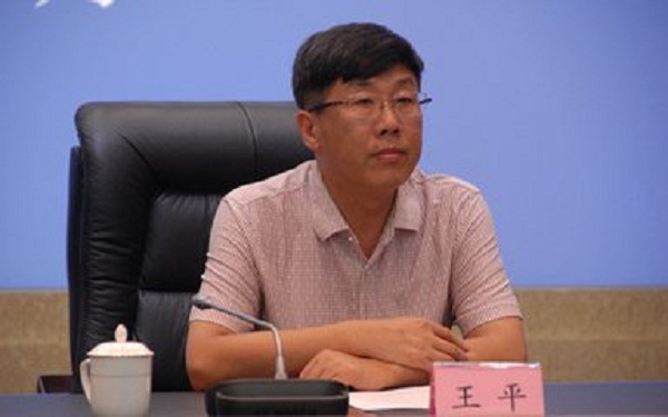 四川省国土资源厅原副厅长王平被“双开”