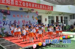 正阳县开展“六一特别关爱行动”活动