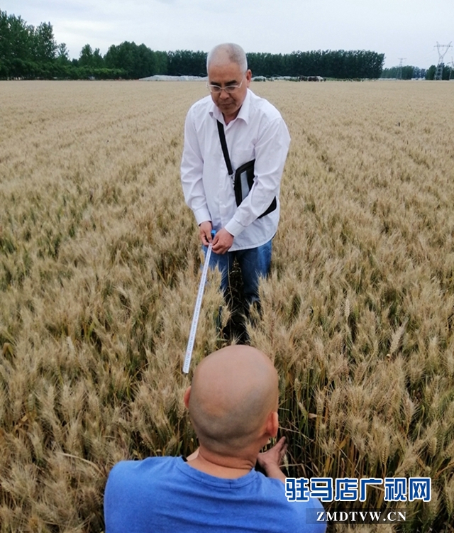 微信图片_20190529095919.jpg