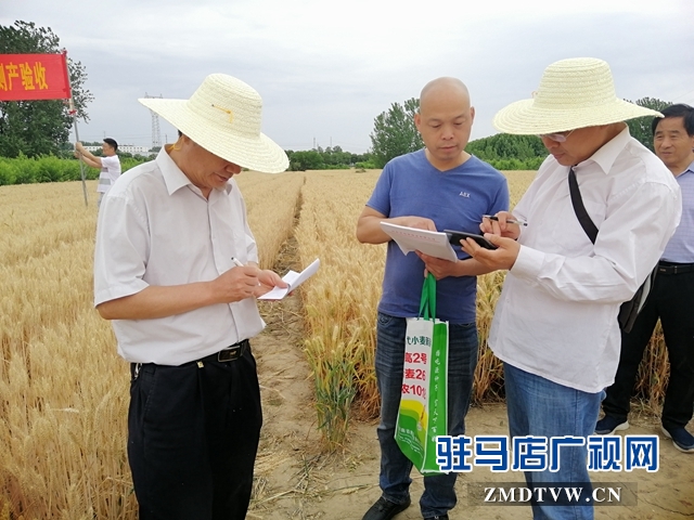 微信图片_20190529095850.jpg