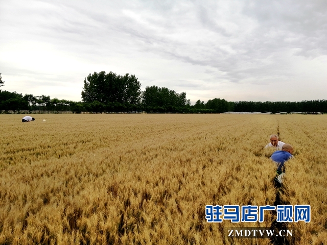 微信图片_20190529100256.jpg