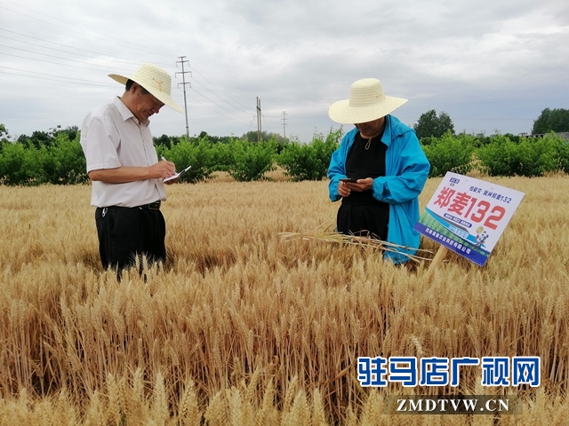 微信图片_20190529095904.jpg