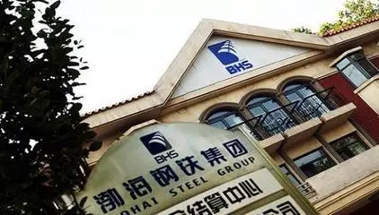 渤海钢铁集团总经理严泽生被查