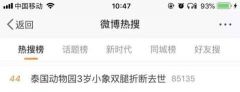 每天被迫表演3场，3岁小象双腿折断后……绝食自杀了