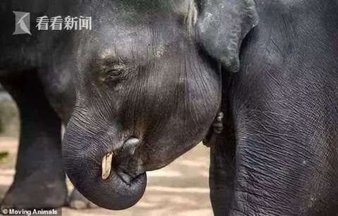 微信图片_20190530085438.jpg