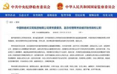 编造理由缺席反馈巡视情况会议，他陪情妇外出游玩