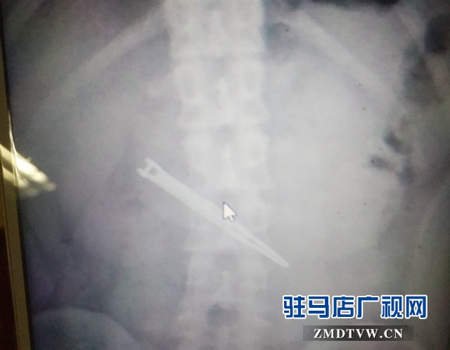 微信图片_20190531172208.jpg
