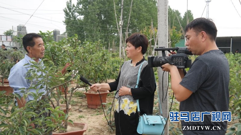  上蔡、汝南农民找驻马店市农民高级技师魏世秀“拜师学艺”学盆景果树栽培新技术