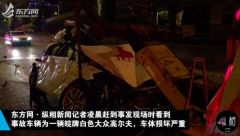 轿车被撞后从10米高架上坠落 肇事司机逃逸后被抓