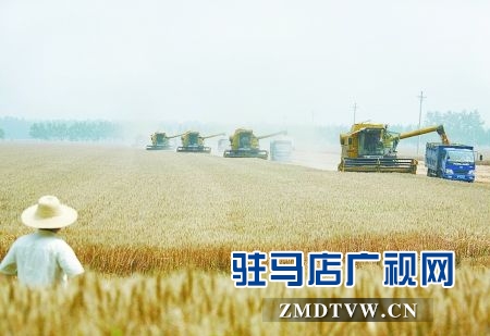 驻马店市 “三夏”机收小麦已经过半