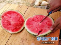 确山瓦岗富硒西瓜提前上市