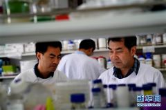 我国研发诺如病毒四价疫苗获批进入临床研究