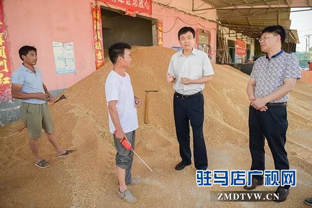 上蔡县委副书记 县长李卫明深入部分乡镇督导“三夏”生产等工作