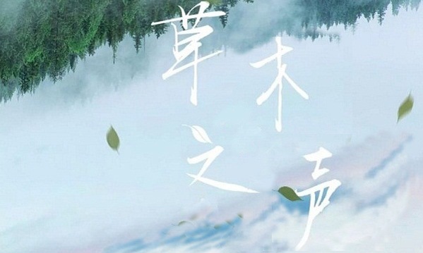 草木之声