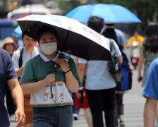 端午小长假快来了，哪里高温、哪里暴雨？