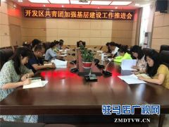 团开发区委召开加强基层团组织规范化建设推进会