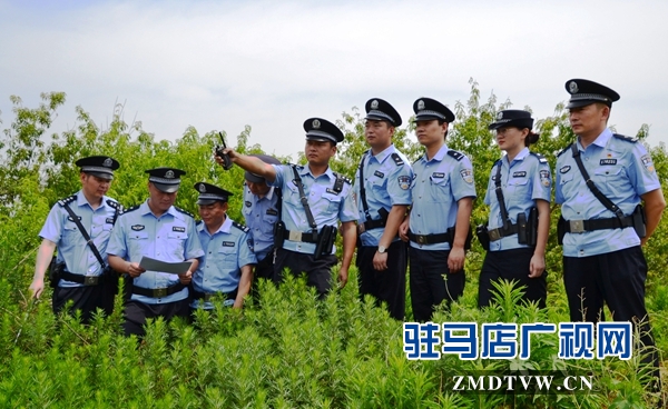 驻马店市公安局东风分局：铸造一支让人民满意的公安“利剑”