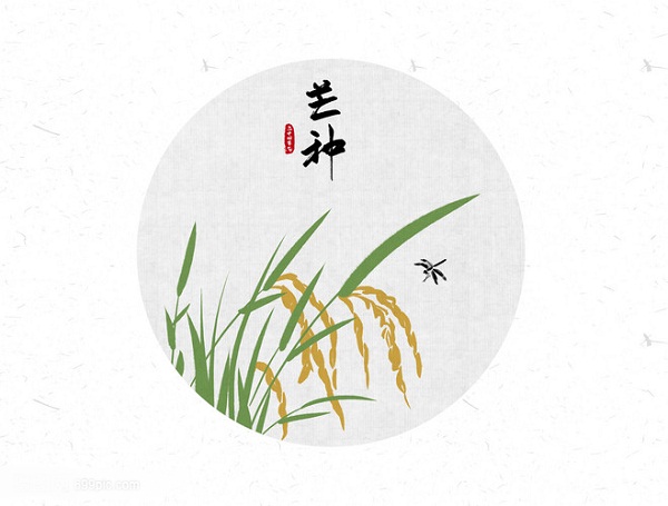 芒种节气的冷知识：为何要“安苗”、吃青梅？