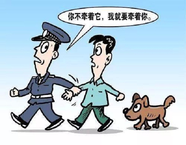 遛狗不牵绳伤人，该立法来管了