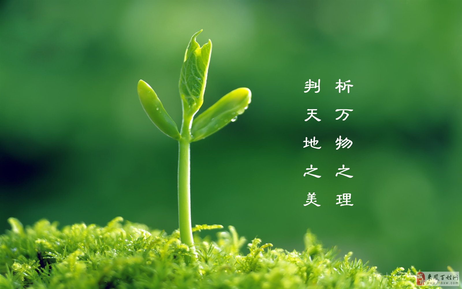 徐光到确山县检查指导生态环境恢复治理工作