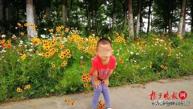 微信图片_20190610085318.jpg