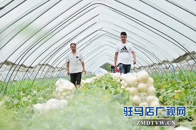 梁永飞：带着乡亲一起“飞”的90后