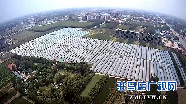 梁永飞：带着乡亲一起“飞”的90后