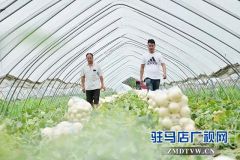 梁永飞：带着乡亲一起“飞”的90后