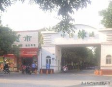 河南一小区“限号”回家：单日单号车进，双日双号车进