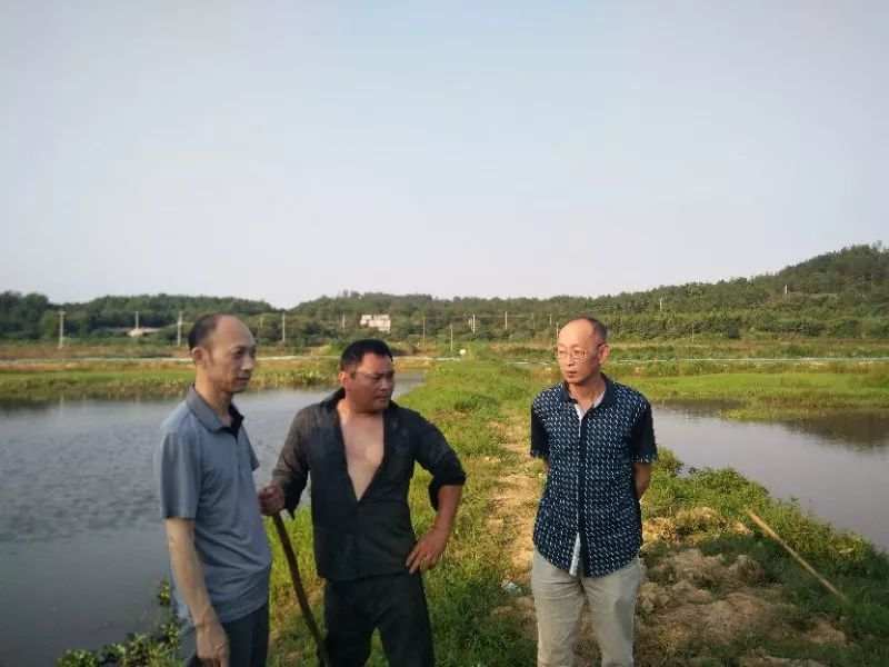 微信图片_20190617164708.jpg