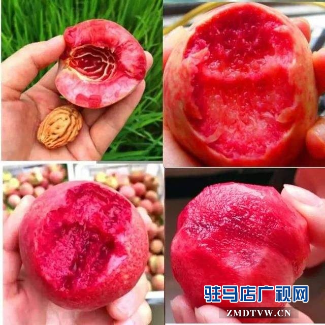 产业扶贫 英桃助阵