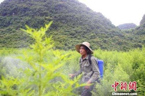 微信图片_20190618163507.jpg