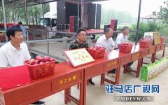 小油桃改变了贫困户生活