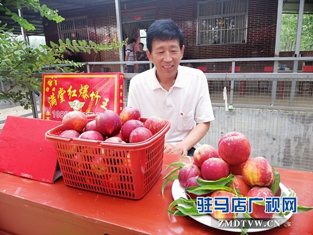 小油桃改变了贫困户生活