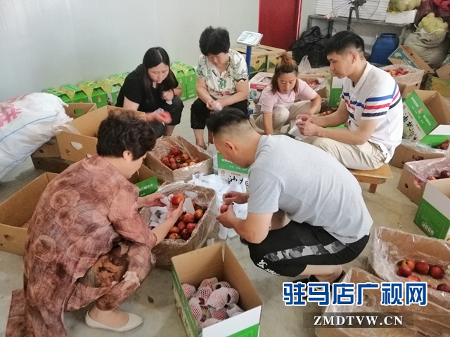 小油桃改变了贫困户生活