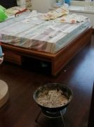 广东女孩自杀，14张信用卡欠款87.8万，四大疑点待解