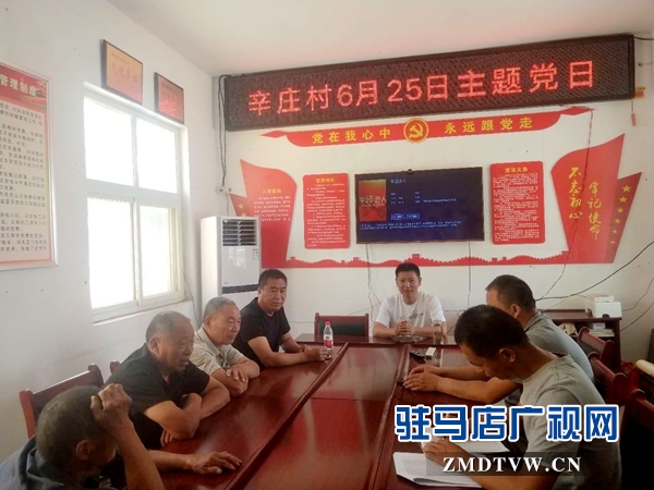 汝南县三桥镇迎“七一”主题党日活动形式多  