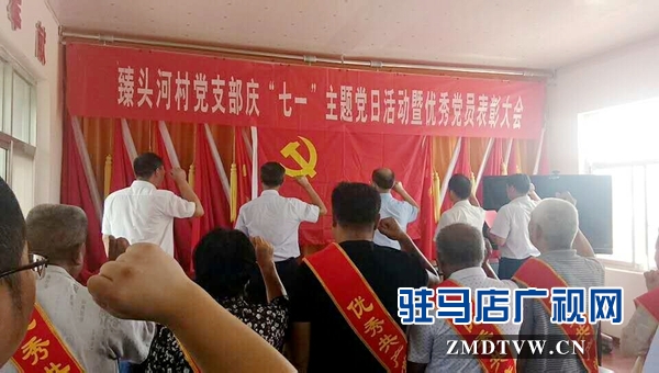 汝南县三桥镇迎“七一”主题党日活动形式多  